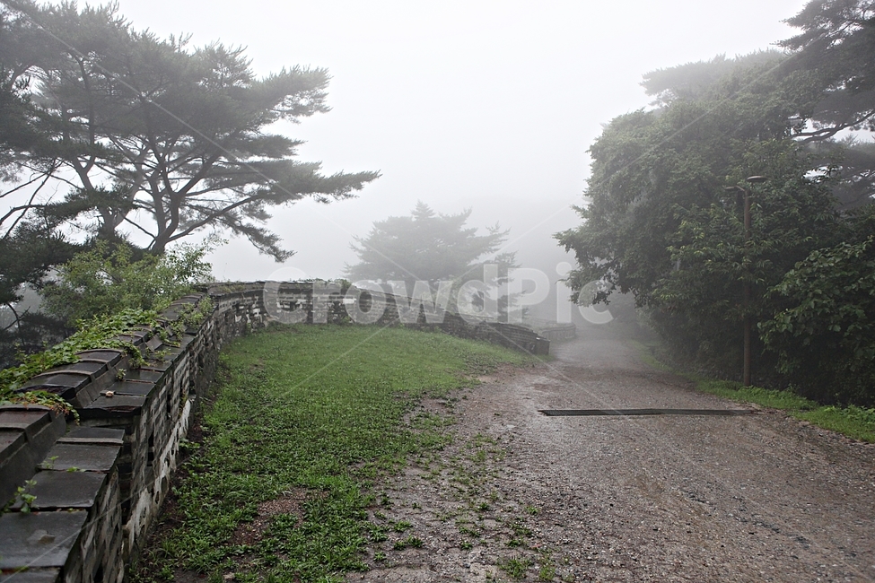 남한산성,성,성곽,길,둘레길,안개,담,돌담,숲,숲길