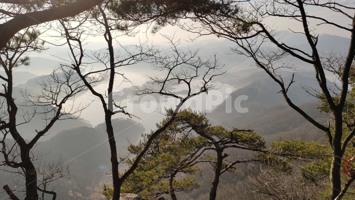 임실군,옥정호,붕어섬,호수,댐,운암댐,산책로,경치,풍경,nature,자연,plant,식물,tree,나무,treetrunk,나무줄기
