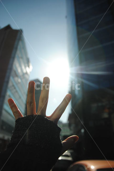 도시,빛,빌딩숲,빌딩,거리,풍경,빛과그림자,햇살,눈부심,도로,강남