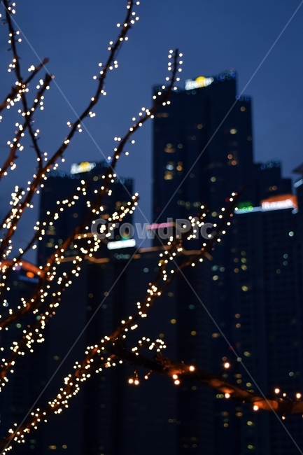 야경,조명,도시,빌딩,조경,nightview,city,building,light,야경,밤,풍경,nightscape,night,landscape