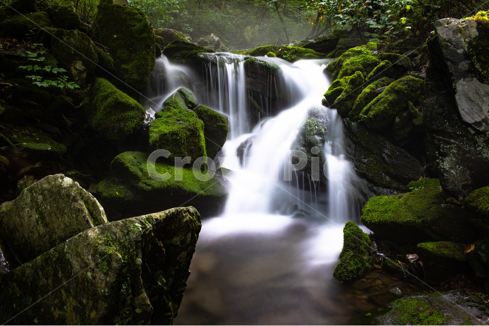 물,자연,이끼,폭포,계곡,여름,계절,summer,season,자연,풍경,nature,landscape,한국자연풍경,한국자연경관,korea nature landscape,water,river,강,outdoors,옥외