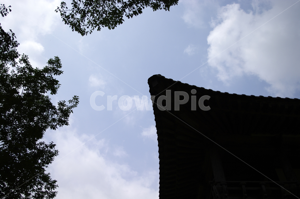 처마,나무,구름,하늘,지붕,한국전통,한국문화,korean traditional,korean culture,건축물,건물외관,exterior,building,structure,architecture,construction
