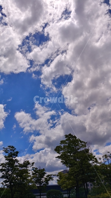 여름,나무,가려진건물,구름,하늘,자연,풍경,nature,landscape,outdoors,옥외,sky,weather,날씨,cumulus,적운,cloud,azure sky,푸른 하늘