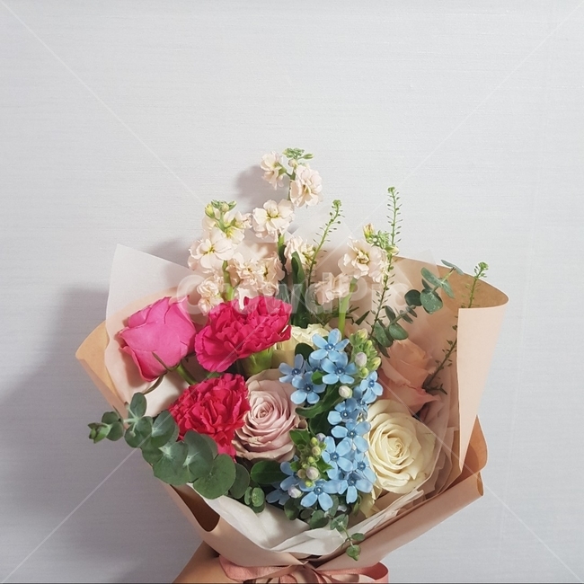 plant,식물,기념일,꽃선물,여자친구