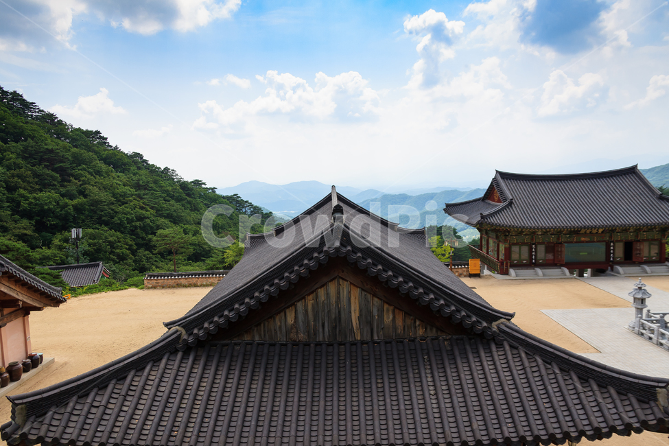 축서사,불교,절,종교,전통적인,문화,봉화,한국전통,한국문화,korean traditional,korean culture,건축물,건물외관,exterior,building,structure,architecture,construction