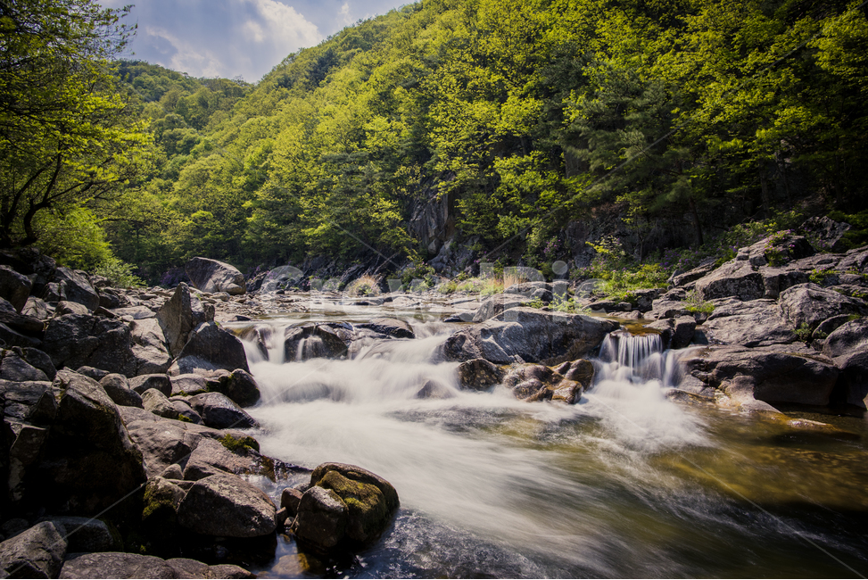 지리산,달궁계곡,수달래,계곡,자연,봄,물,물줄기,자연,풍경,nature,landscape,한국자연풍경,한국자연경관,korea nature landscape,water,outdoors,옥외,river,강,stream,흐름,creek,작은 만