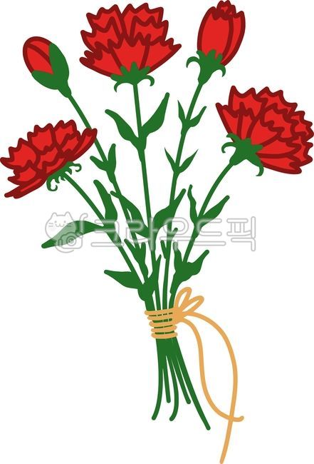 카네이션,꽃다발,어버이날,스승의날,선물,붉은카네이션,감사,기념일,플라워,봄