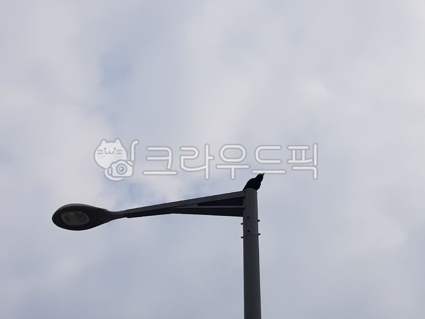 가로등,까마귀,새,하늘,구름,앉아있는