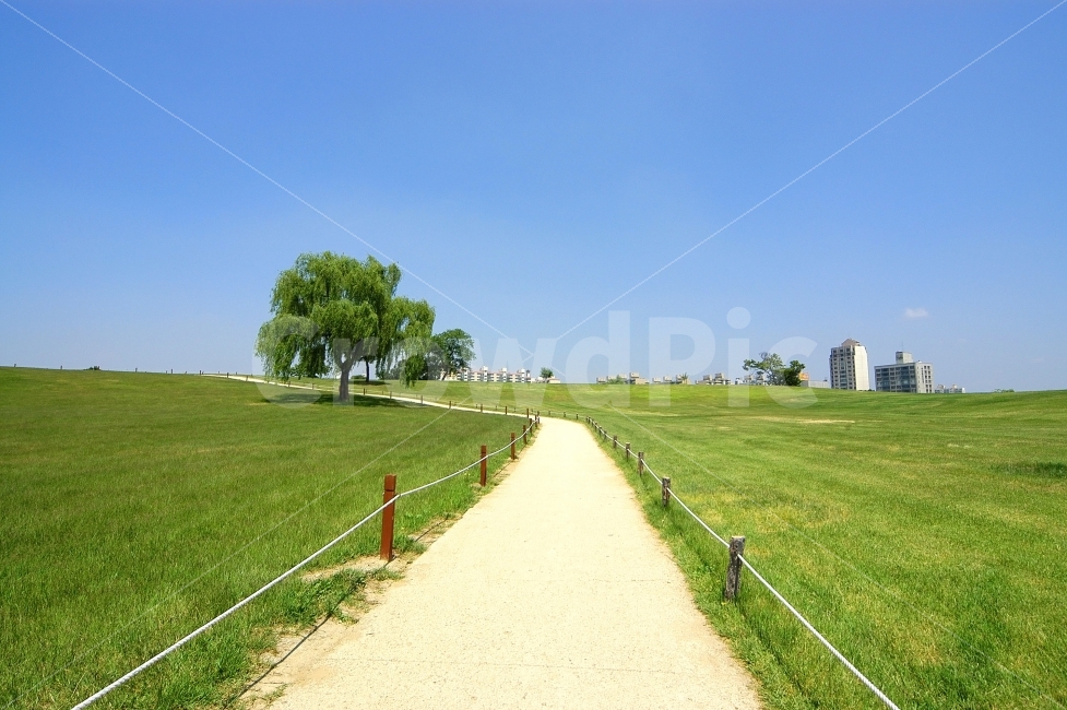 풍경,길,산책,산책로,나무,올림픽공원,공원,초원,잔디,잔디밭,풀밭,자연,자연,풍경,nature,landscape,도시,city,한국도시풍경,한국도시경관,korea cityscape,path,통로,plant,식물,grass,outdoors,옥외