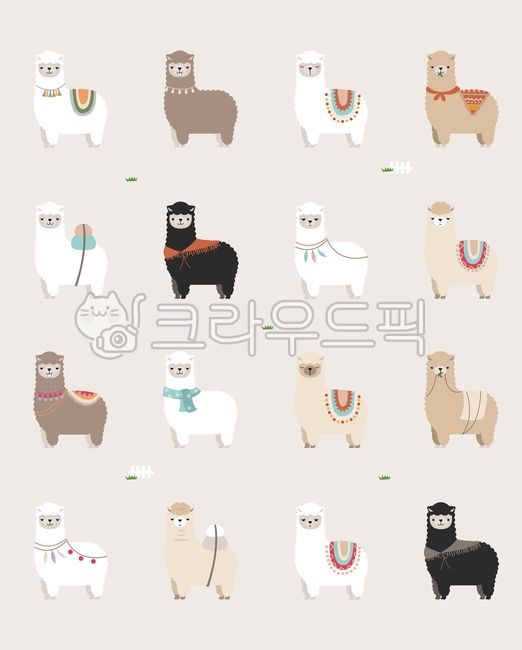 알파카,라마,동물,양털,털실,키즈일러스트,동물일러스트,패턴,배경,백그라운드,낙타,호주,귀여운,데코,아이콘