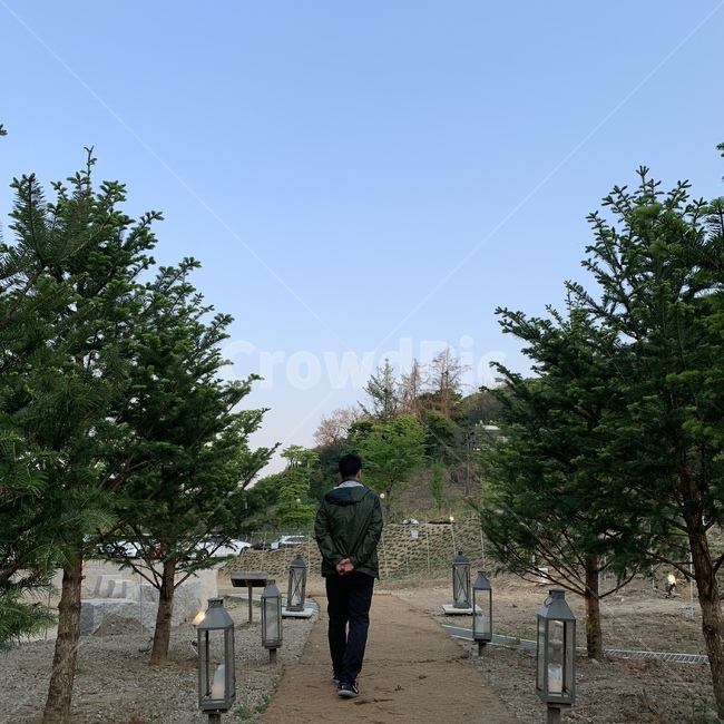 남자,뒷모습,뒷짐,나무,조명길,산책