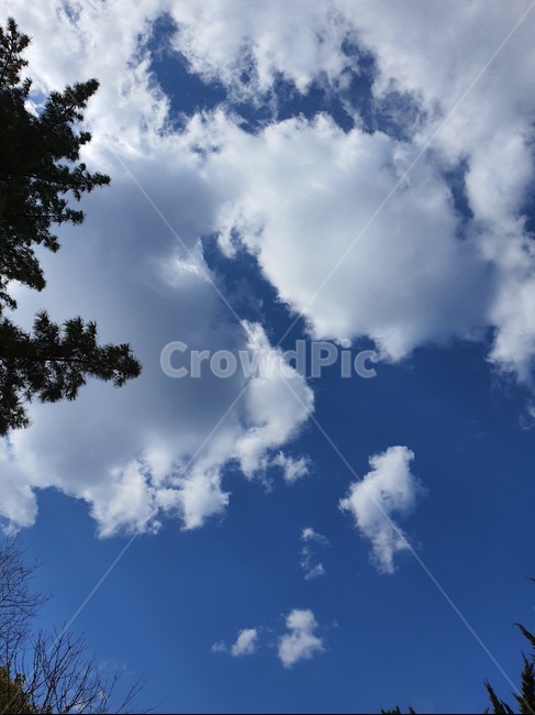 자연,nature,sky,푸른하늘,구름,날씨,하늘,cloud