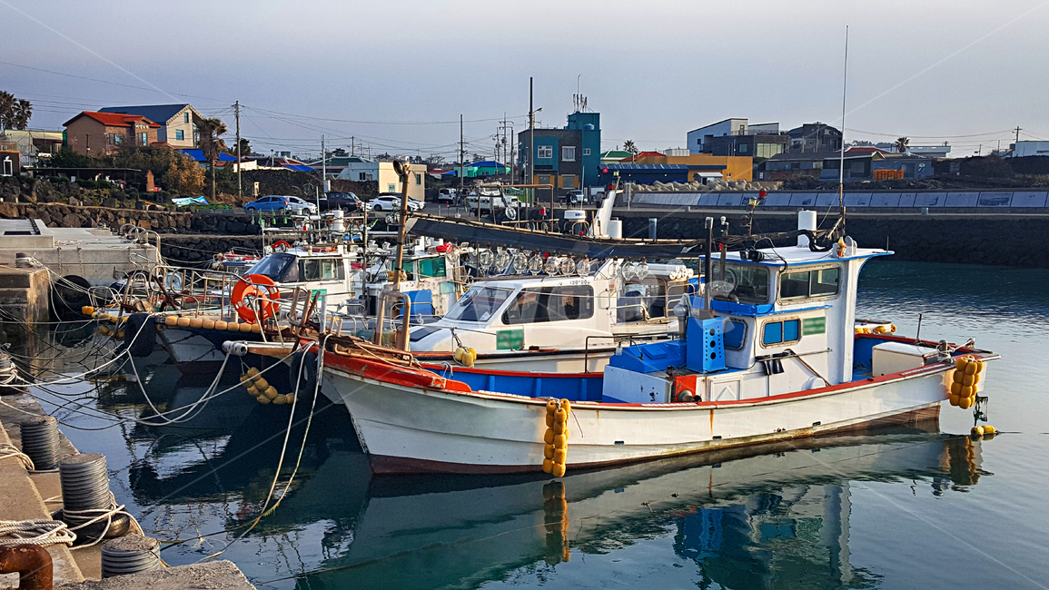 선박,항구,배,water,물,transportation,교통,vehicle,watercraft,독,pier,포트,port,어업,fishery,fishing industry