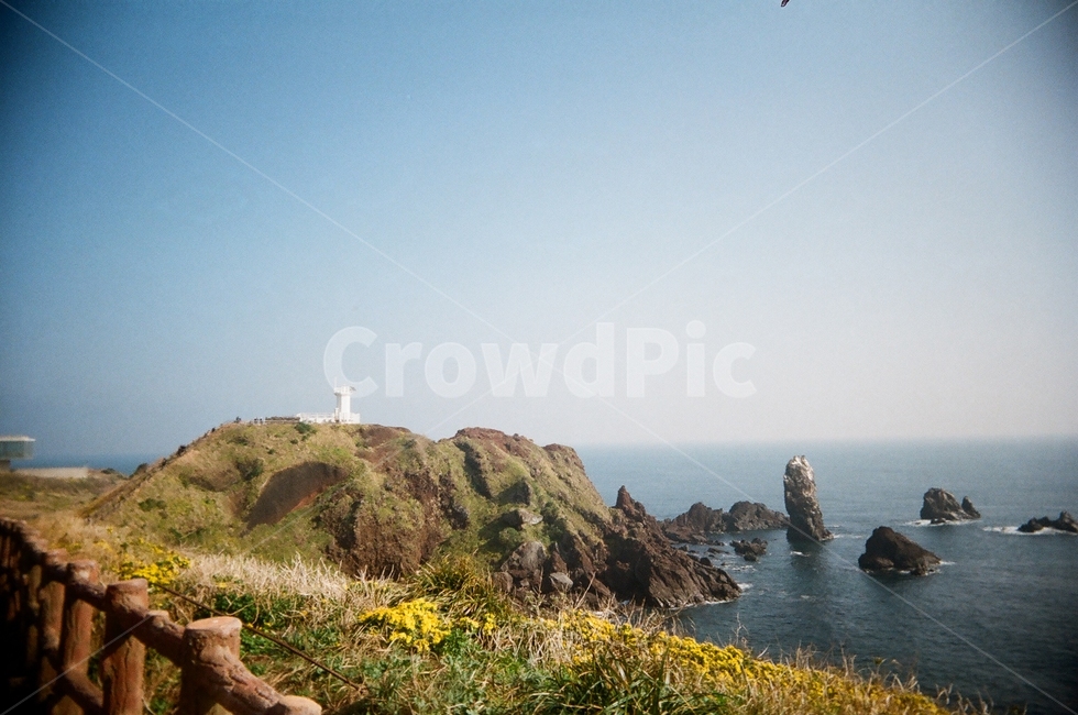 제주도,올인촬영지,올인,섭지코지,제주,섬,바다,필름사진,자연,풍경,nature,landscape,제주도,jeju,jeju island,leisure activities,레저 활동,adventure,모험,gliding,활공