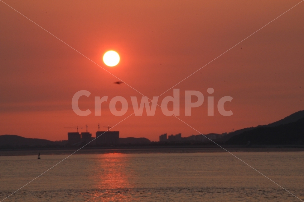 노을,월미도,갈매기,태양,석양,자연,풍경,nature,landscape,도시,city,실루엣,그림자,silhouette,shadow,sunlight,햇빛