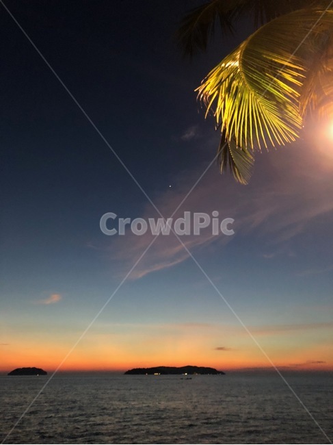 밤하늘,자연,바다,석양,sunset,나무,색감,수평선,자연,풍경,nature,landscape,flare,플레어,light,빛
