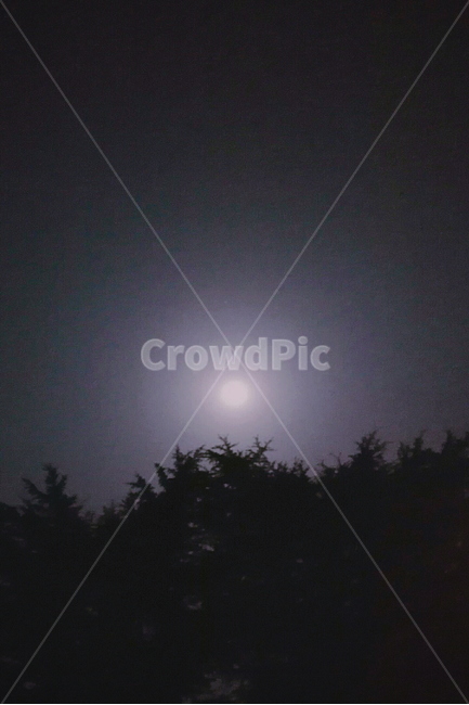 달,밤,감성,나무,배경,자연,풍경,nature,landscape,야경,밤,nightscape,night,outdoors,옥외