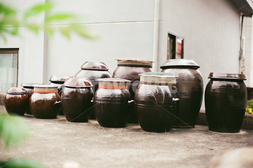 항아리,장독대,시골풍경,인포커스,옥상,필름사진,한국전통,한국문화,korean traditional,korean culture