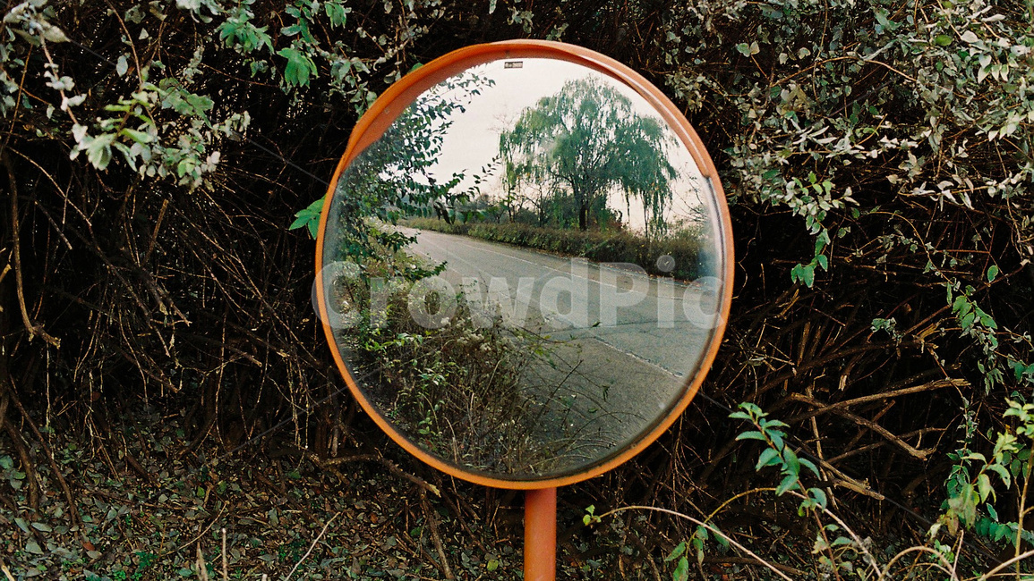 거울,숲길,반영사진,숲,mirror