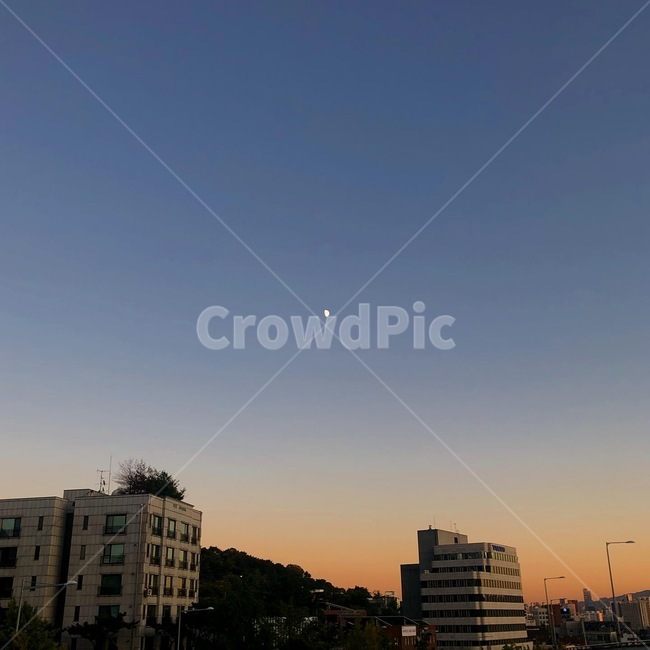 nature,자연,outdoors,노을,야경,저녁,아파트,건물,도시