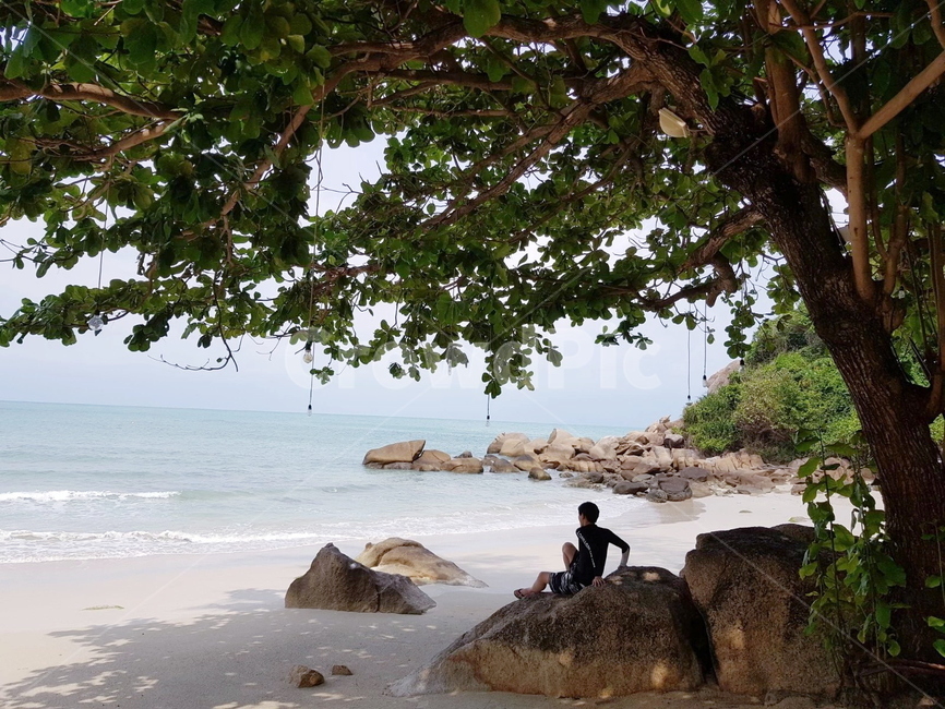 rest,Beach,ocean,tree shade,sandy beach