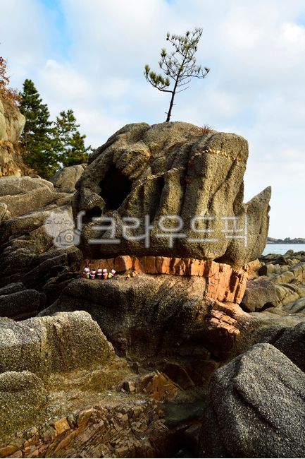 Gangwondo,rock,pine tree,shape,ocean,outdoors,nature,tree,Tourist destination,on the coast,Goseonggun