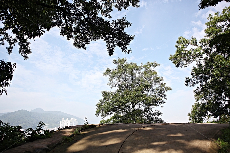 공주산성,산성,성,성곽,길,둘레길,숲,숲길,안개,담,돌담,여름,풍경,흙담,나무,식물,유네스코등제