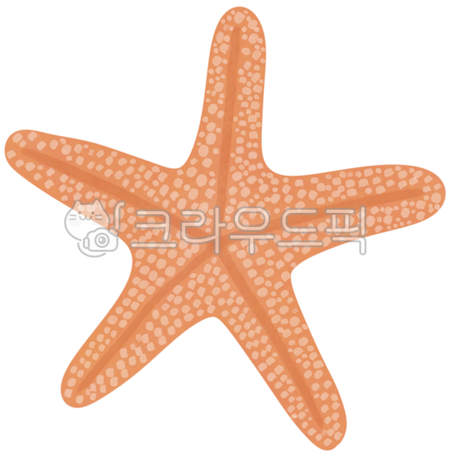 불가사리,바다동물,주황색,별모양,생물