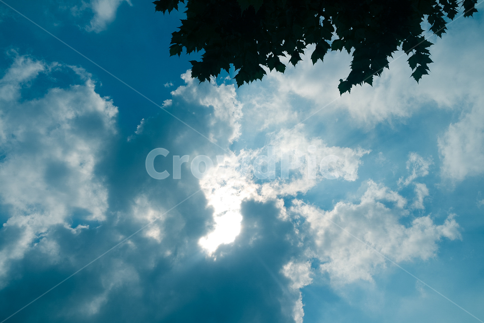 하늘,구름,자연,푸른하늘,햇빛,빛줄기,풍경,nature,azuresky,sky,sunshine,outdoors,옥외
