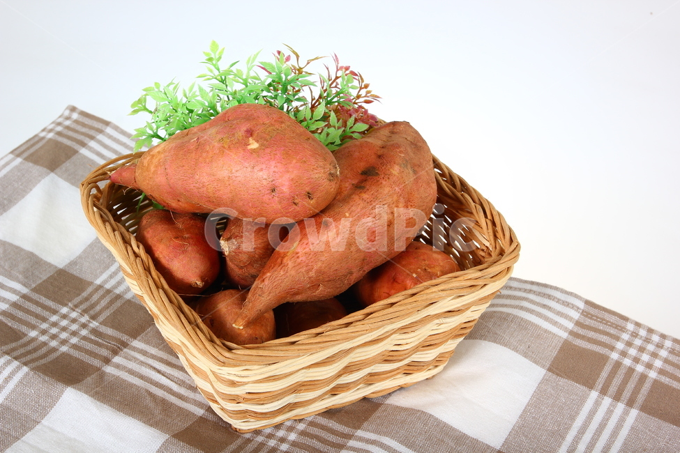 고구마,군구고마,구황작물,음식,식품,간식,호박고구마,밤고구마,달콤,sweetpotatoes,gourd,gourdcrop,food,snacks,sweet,음식,식재료,요리,food,cook,meal,dishes,food reserves,연출,컨셉,콘셉,direction,concept