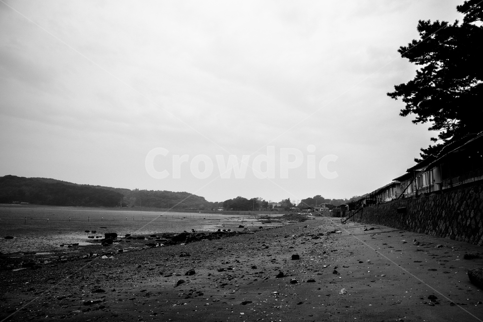 blackandwhite,blackwhite,gloomy,sea,seaside,rainyday,beach,sad,바다,흑백사진,비,흐림,흐린날씨,흐린날,인천,을왕리,자연,풍경,nature,landscape,해변,바다,beach,sea,흑백,모노톤,monochrome,black and white,ground,바닥,gravel,자갈,road,도로,dirt road,흙길