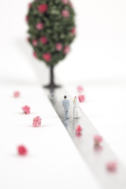웨딩,커플,신랑,신부,꽃길,오브젝트,결혼,결혼식,나무,꽃나무,웨딩마치,은빛,흰색,배경,그린,녹색,희망,축복,실버,컨셉,미니어처,아이디어,분홍색,핑크,남녀,시작,브라이드,러브,사랑,웨딩드레스,예복,꽃,턱시도,플라워,셀프웨딩,스드메,연인,커플,사랑,lover,couple,결혼,혼례,웨딩,wedding,marriage,marry,기념일,축하,anniversary,congratulation,celebrate,celebration,연출,컨셉,콘셉,direction,concept