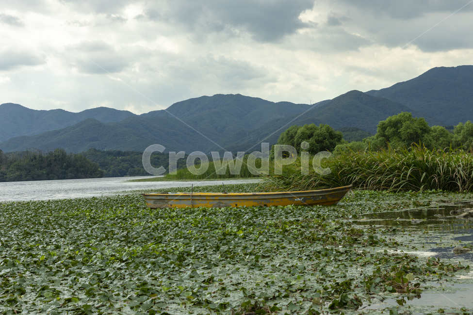 nature,자연,두물머리,나룻배,자연풍경,자연,풍경,nature,landscape,outdoors,옥외,land,땅