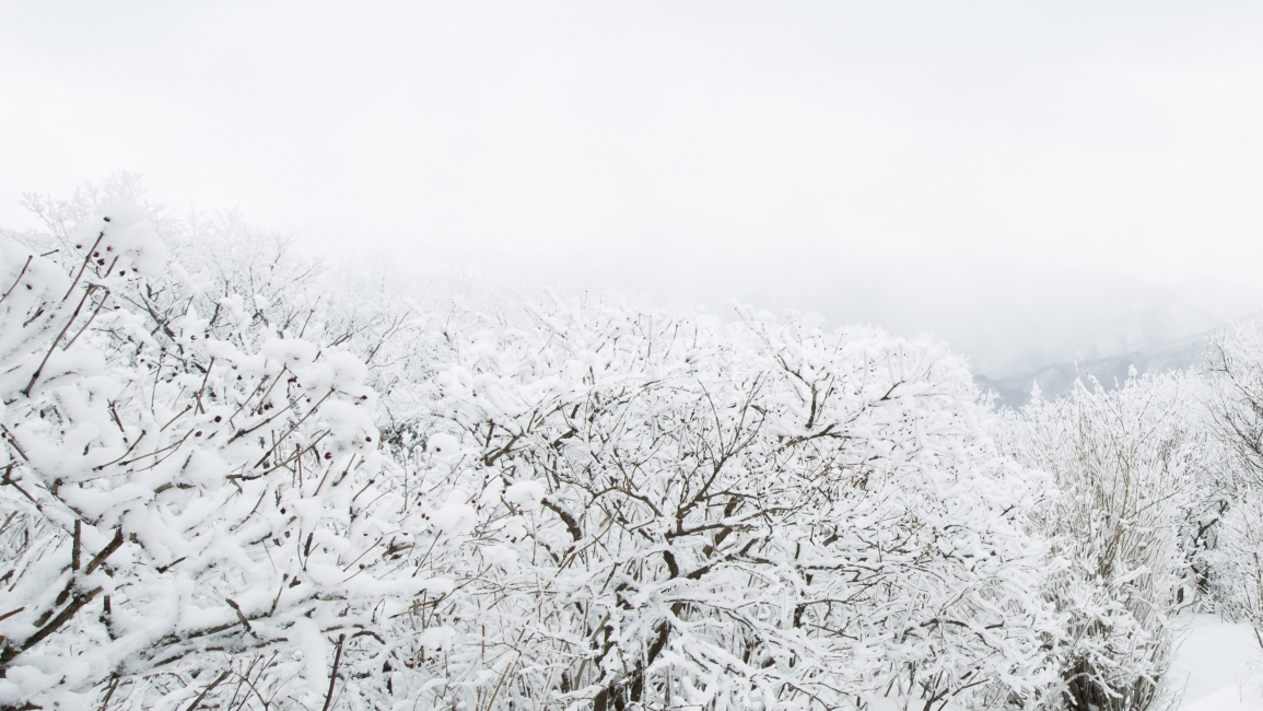 산,눈,겨울,한파,상고대,겨울,계절,winter,season,자연,풍경,nature,landscape,outdoors,옥외,storm,폭풍,snow,blizzard,눈보라