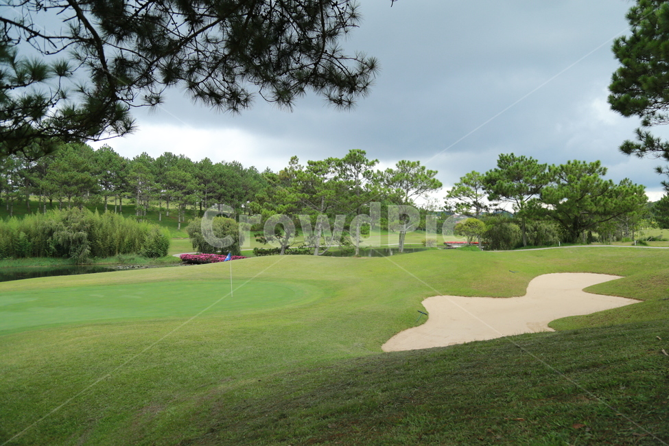 field,들,outdoors,골프,골프코스,golf,golfcourse,자연,nature