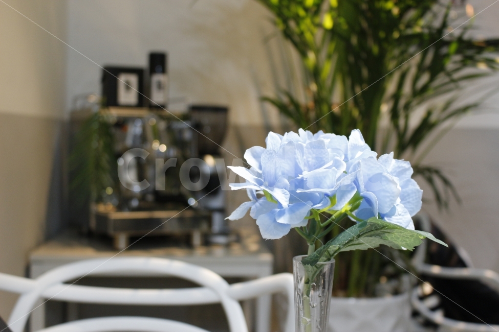 꽃,화분,조명,카페,맛집,인테리어,핫플레이스,감성,flower,cafe,interior,spotlight,식물,자연,plants,nature,커피,카페,coffee,cafe,꽃,flower