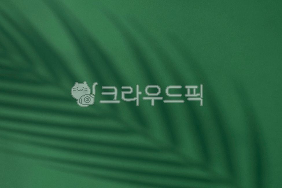 hundred,shadow,beauty,bush,pattern,frond,palm tree,tropical country,leaves,copy space,green,natural,shape,nature,tree,emptied,abstract,leaf,tropical,pointed,tropics,background,plant,silhouette,loose