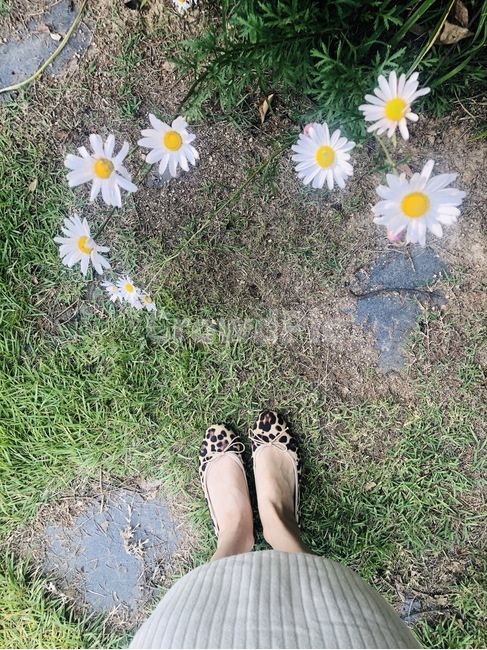 꽃,구두,따뜻함,봄,가을,식물,flower,땅,나들이,소풍,사람,인물,인간,human,person,신체일부,몸,body