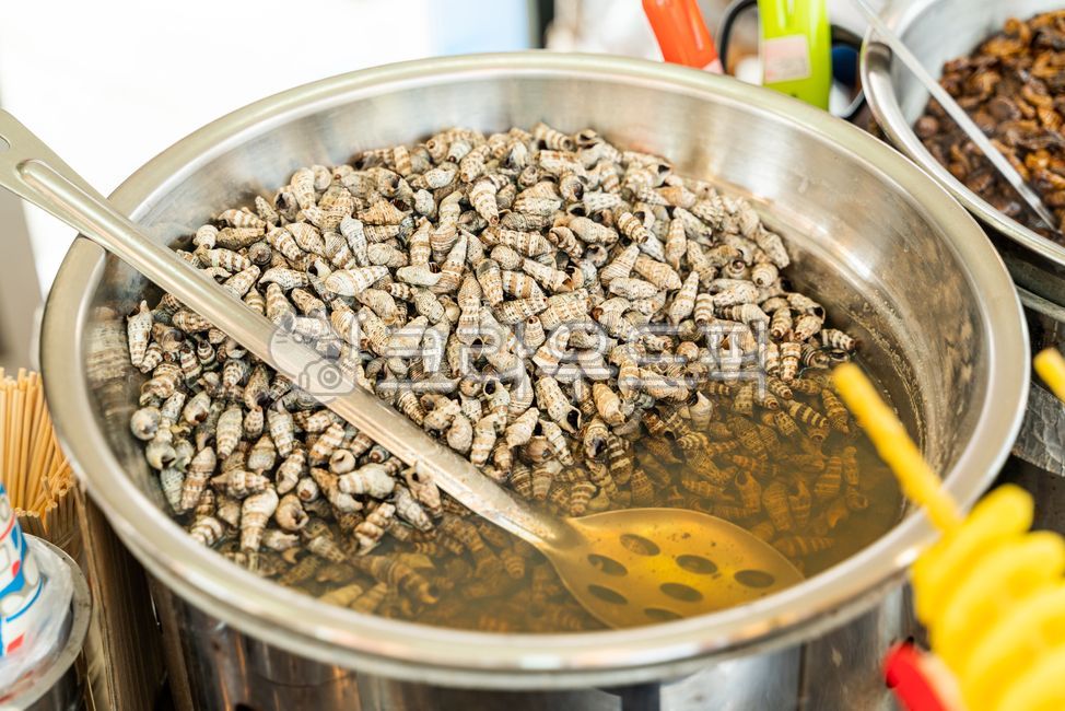 conch,street food,snack,Snacks,snack cart,snack bar,food