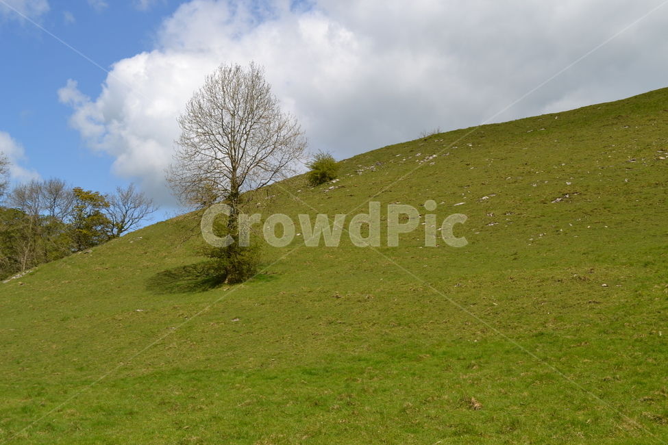 field,들,grassland,목초지,outdoors,옥외,mound,투수판,배경사진,자연,구름,언덕,하늘,고요,평온,초원,자연,풍경,nature,landscape