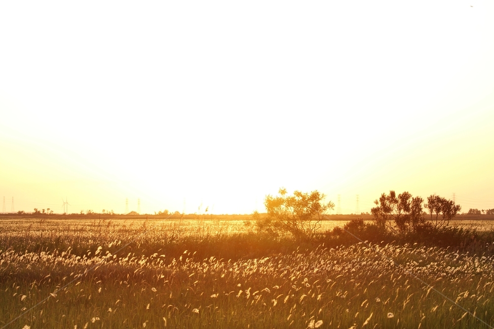 노을사진,일몰사진,해넘이사진,풍경사진,홍혼빛,감성사진,자연,풍경,nature,landscape,light,빛,flare,플레어,sunlight,햇빛