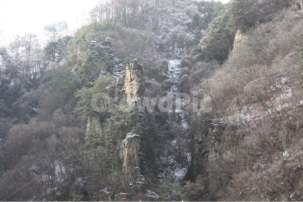 겨울,나무,산,풍경,하늘,바위,겨울,계절,winter,season,자연,풍경,nature,landscape,한국자연풍경,한국자연경관,korea nature landscape,tree,plant,식물,fir,전나무,abies,아비,conifer,구과 식물