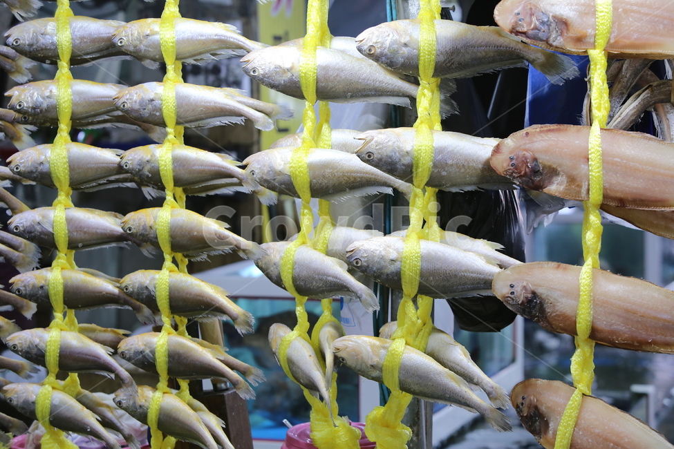 전통시장,시장,생선,어류,줄줄이엮은생선,생선말리기,어시장,음식,식재료,요리,food,cook,meal,dishes,food reserves,수산물,해산물,fishery products,seafood