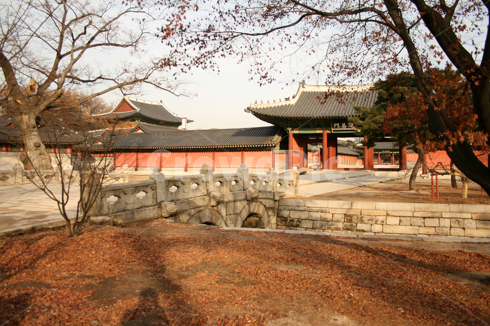 창덕궁,진선문,궁궐,한국의궁,세계문화유산,한국전통,한국문화,korean traditional,korean culture,랜드마크,landmark,tourist attraction,한국랜드마크,한국관광지,한국명소,korea landmark,korea tourist attraction