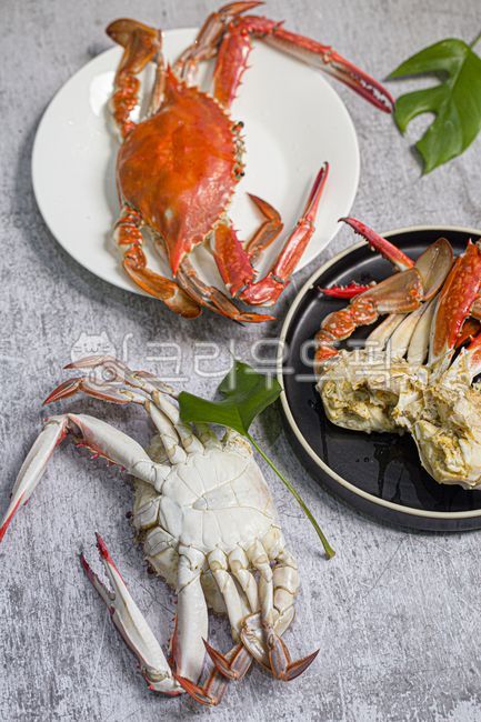 Crab,male crab,live crab,seasonal crab,autumn crab,seafood,crustacean,steamed crab,steamed crab,crab legs,crab meat