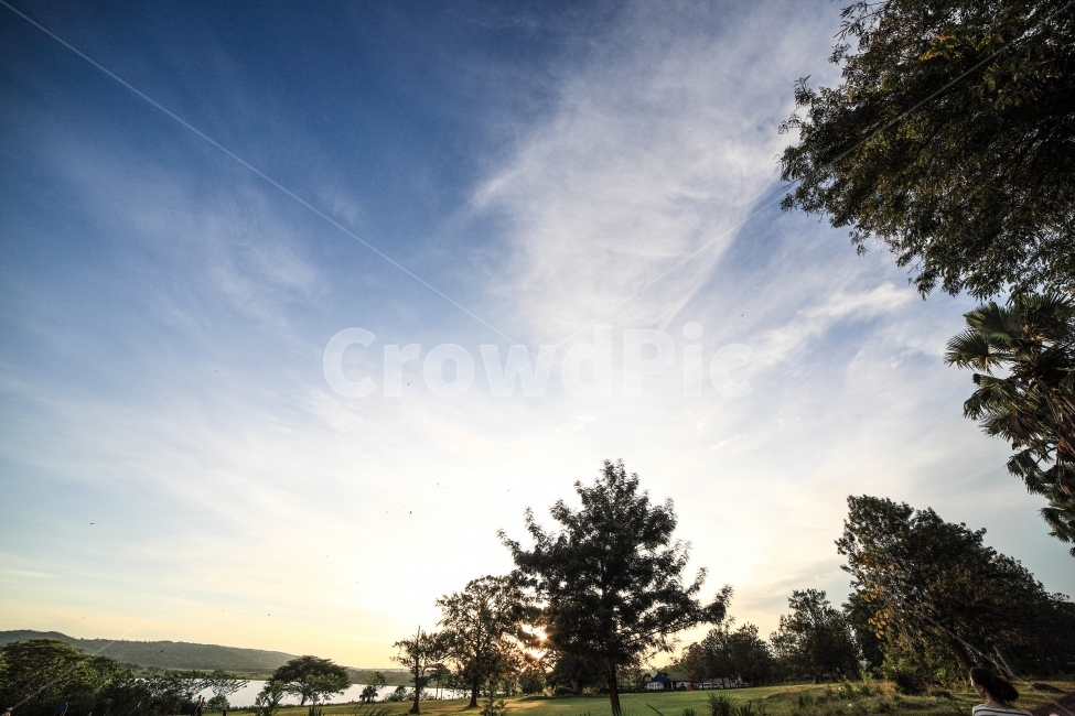 아프리카,우간다,빅토리아호수,Jinja,여행,풍경,하늘,구름,석양,자연,풍경,nature,landscape,해외,외국,세계,foreign,oversea,world,세계자연풍경,해외자연풍경,외국자연풍경,world nature landscape,plant,식물,tree,나무