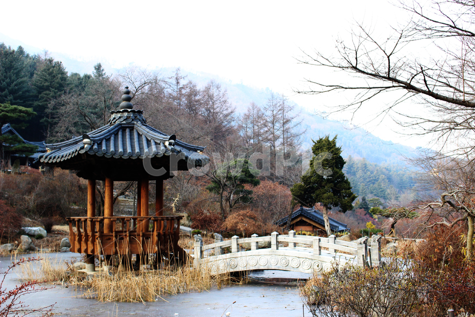 정자,다리,숲속,숲속정자,겨울,겨울산