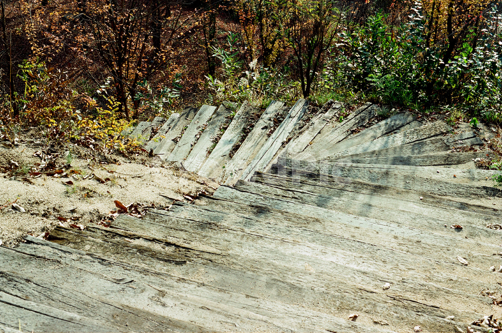 풍경,자연,계절,가을,낙엽,계단,나무,야외,산책로,낮,Landscape,nature,season,autumn,fall,stairs,tree,outfield,mountainpath,day,자연,풍경,nature,landscape,river,강,water,물,outdoors,옥외
