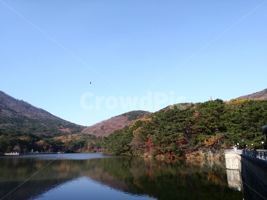 저수지,나무,부산어린이대공원,자연,산책