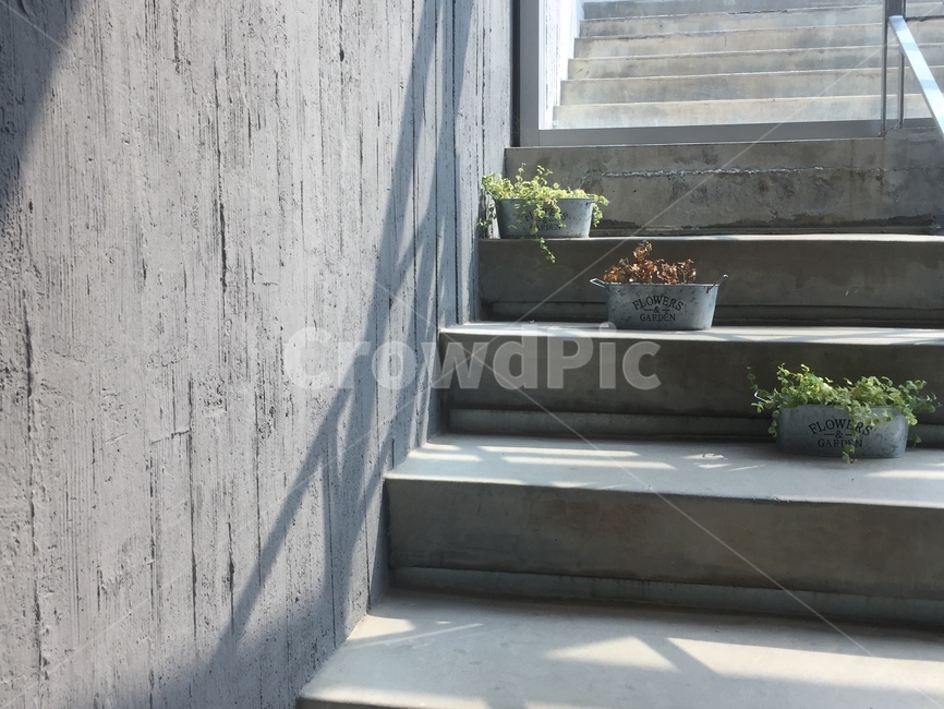 화분,꽃,계단,풍경,건물,건축물,건물외관,exterior,building,structure,architecture,construction